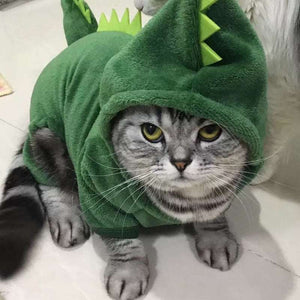 a cat wearing a green hat on a leash 