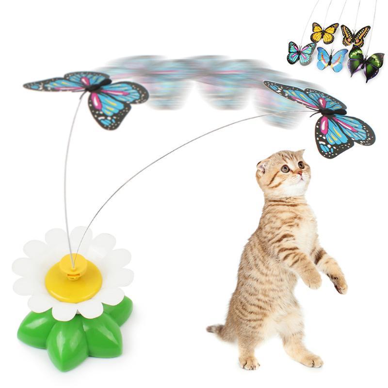 Hummingbird hotsell cat toy